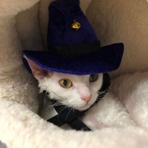 Meet your Posher, Aylin